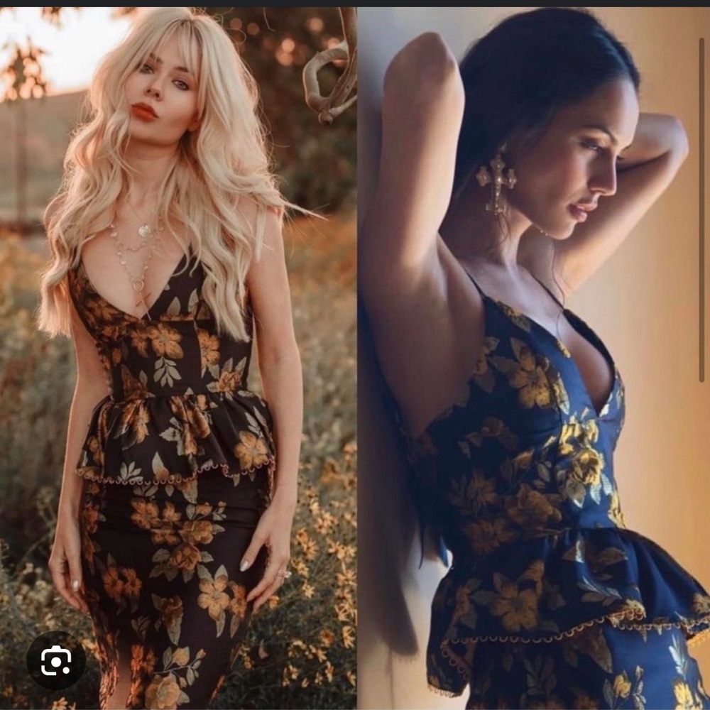 V Chapman Revury Dress size 4